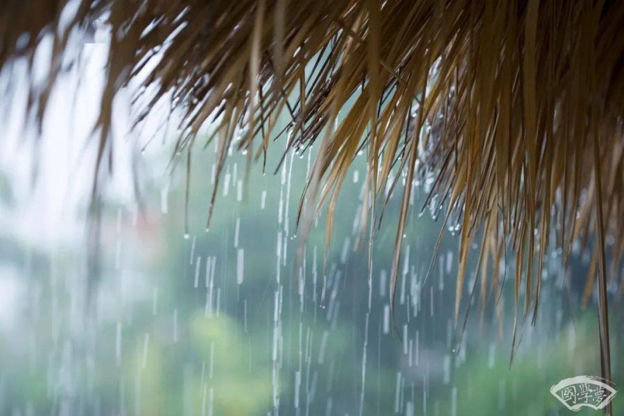 春雨 蜂蜜补水面膜 10片