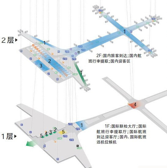 多可特 小鲸鱼牵引绳 3M 灰色